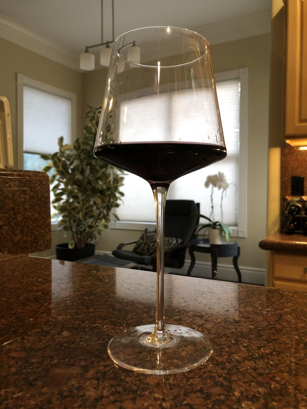 Physkoa 18oz Red Wine Glasses Set of 4-LeadFree Crystal Wine Glass with Tall Long Stem【Hand Blo... | Amazon (US)