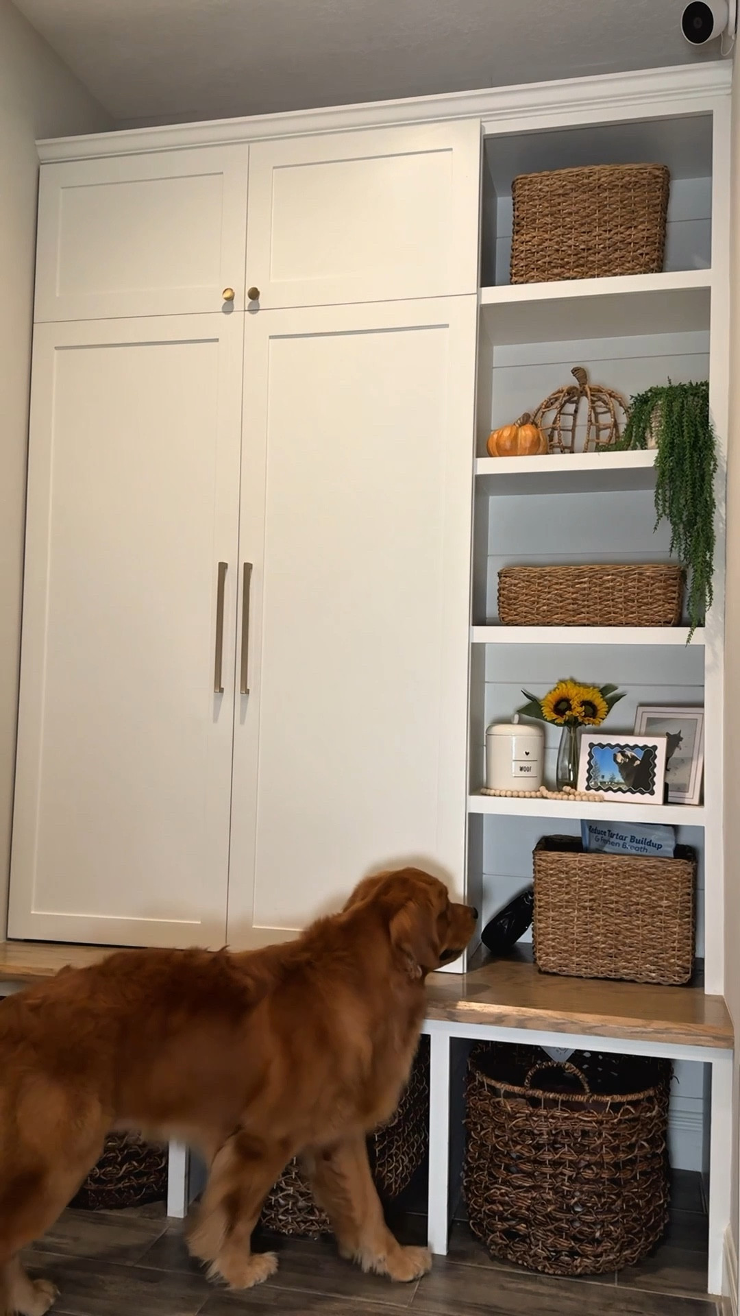 From sunny vibes to cozy feels 🌞🍂 Watch this mudroom effortlessly go from summer fresh to fall warm with just a few decor swaps!

#HomeDecor #SeasonalDecor #SummerToFall #FallDecorIdeas #SummerDecor #HomeInspiration #SeasonalRefresh #FallVibes #DecorSwap #CozyHome #MudroomDecor #HomeStyle