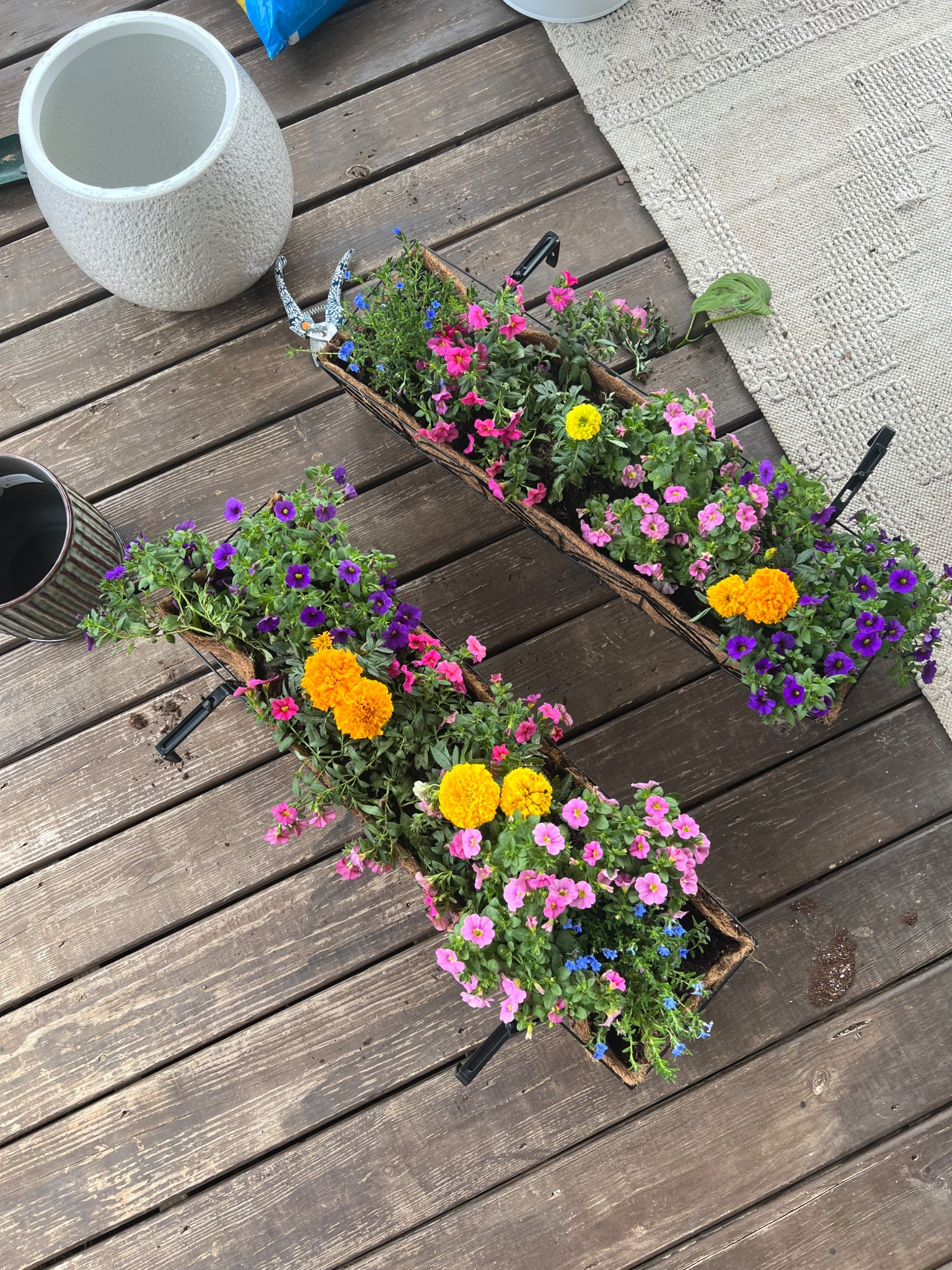 Planter boxes! 💐🌼🪴👒