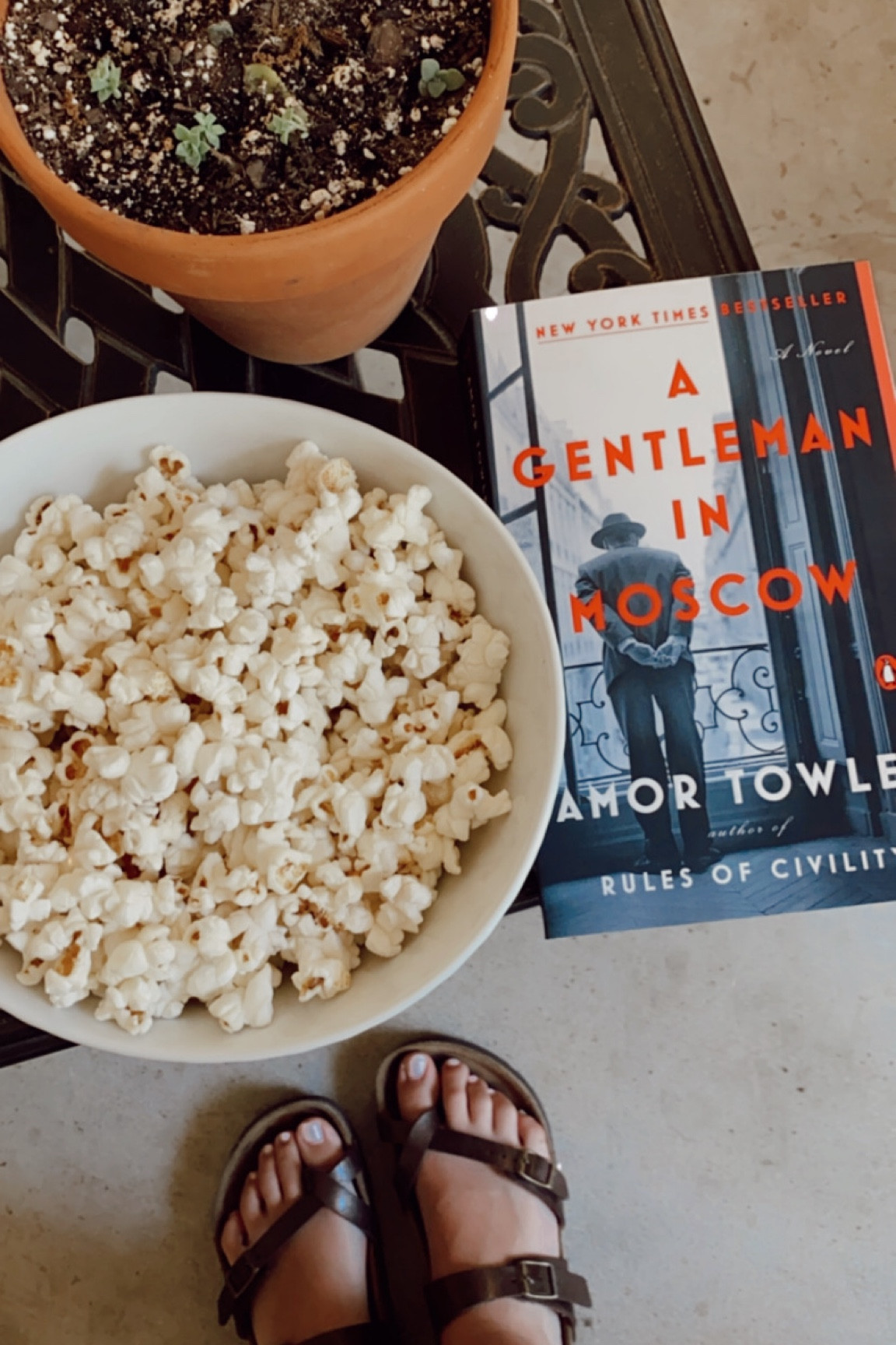 A Gentleman In Moscow was such an incredible story! This is a tough read but challenges you. If you are looking for a good story and a book that will challenge you, this book worth the read! 
#bookclub #book #fallreading #fallbook

#LTKhome #LTKSeasonal #LTKU