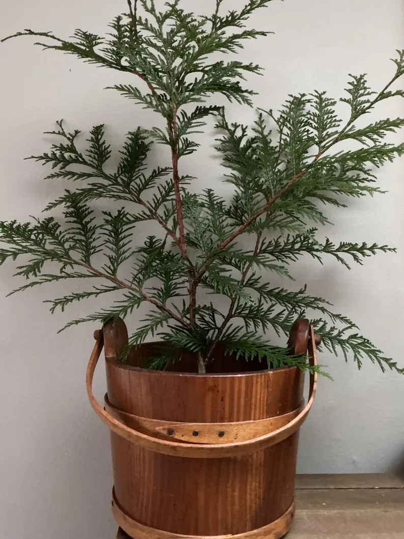 Vintage Americana Wood Bucket: Bentwood Farmhouse Decor | Etsy (US)