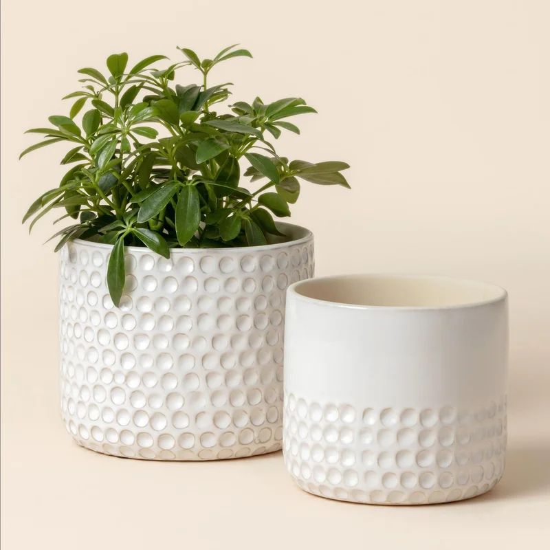 Elayna 2-Piece Ceramic Pot Planter Set | Wayfair North America