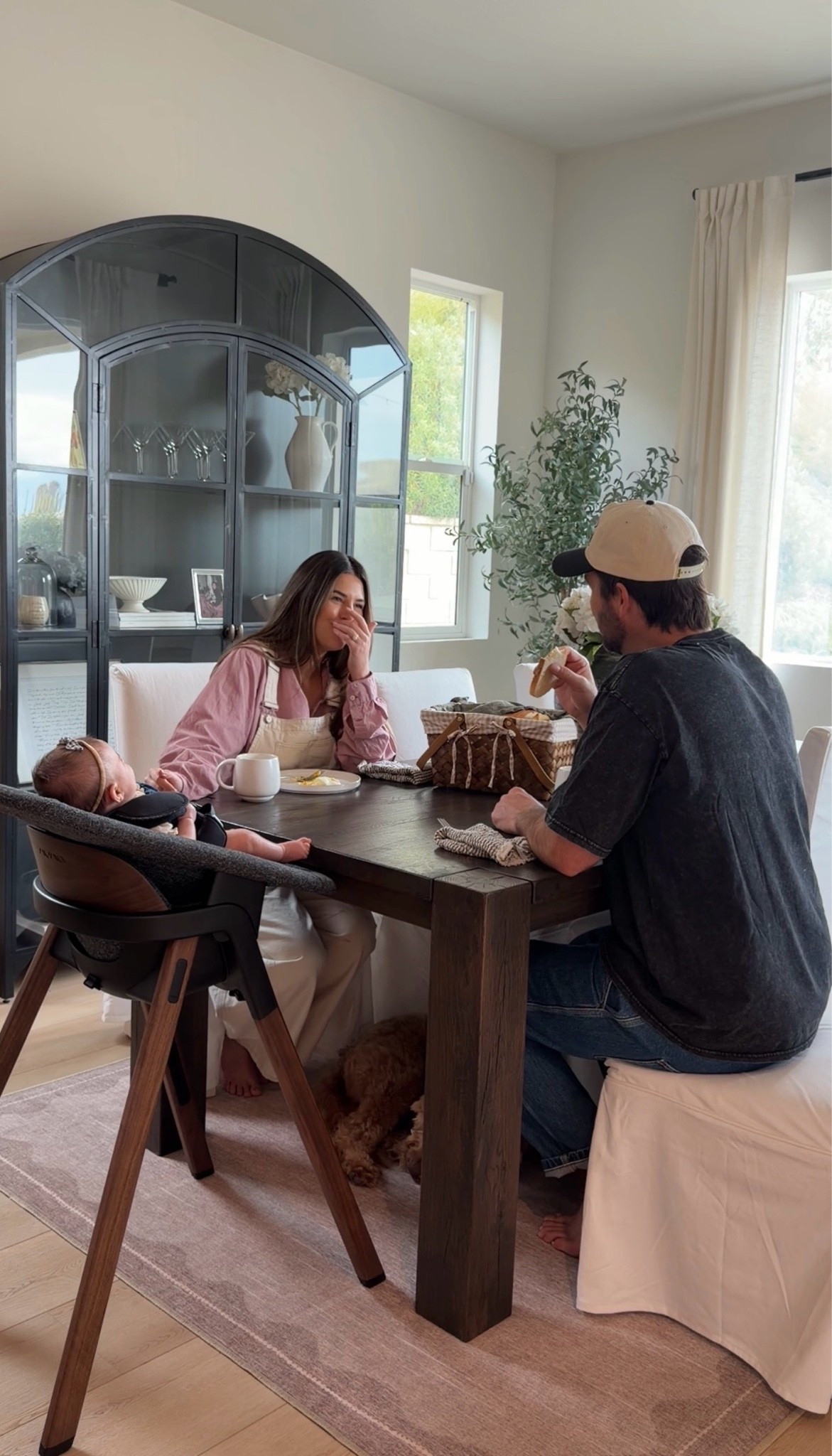 Newborn + toddler high chair