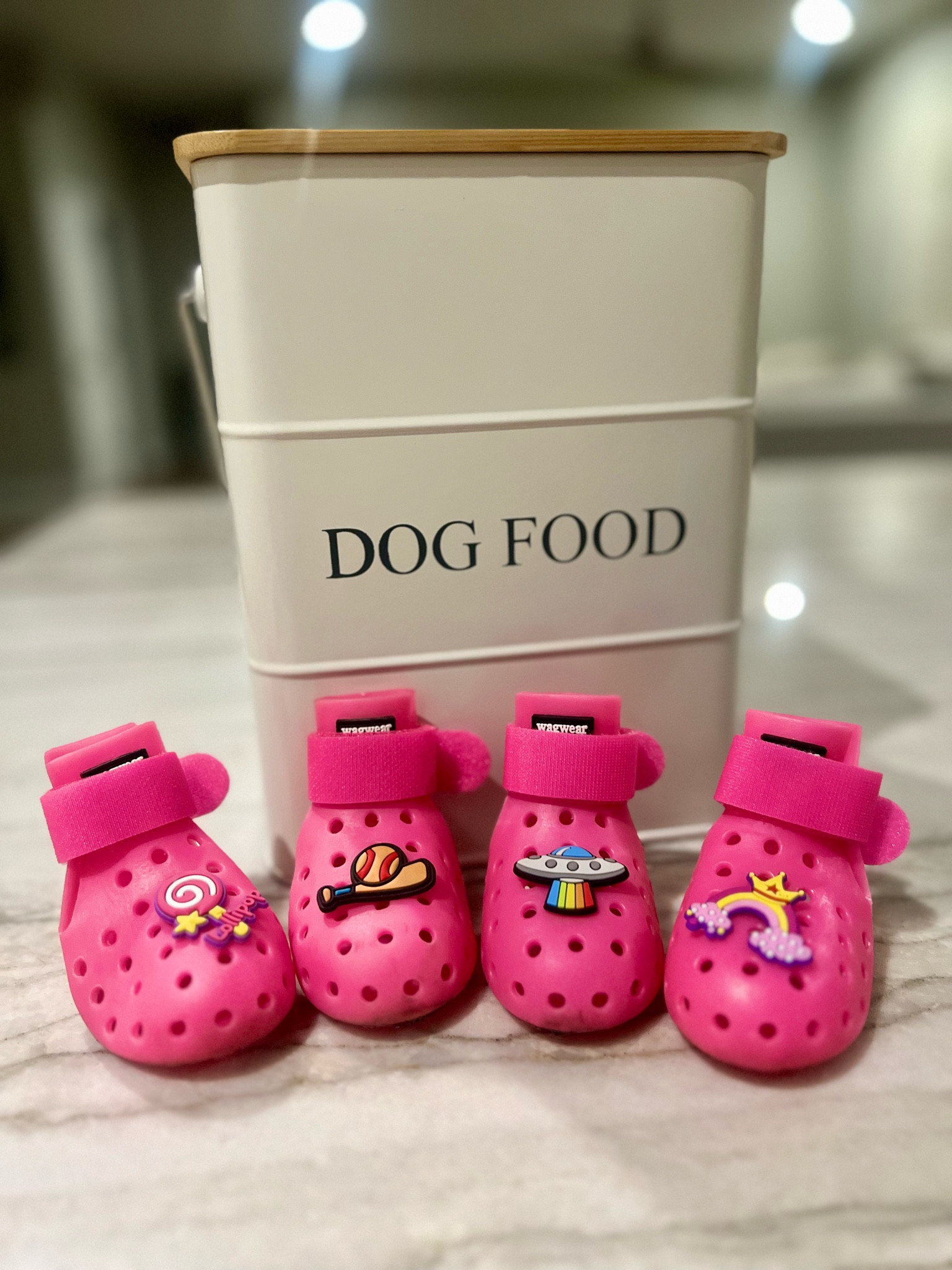 wagwear dog shoes | dog food container | amazon 

#LTKFamily #LTKFindsUnder100