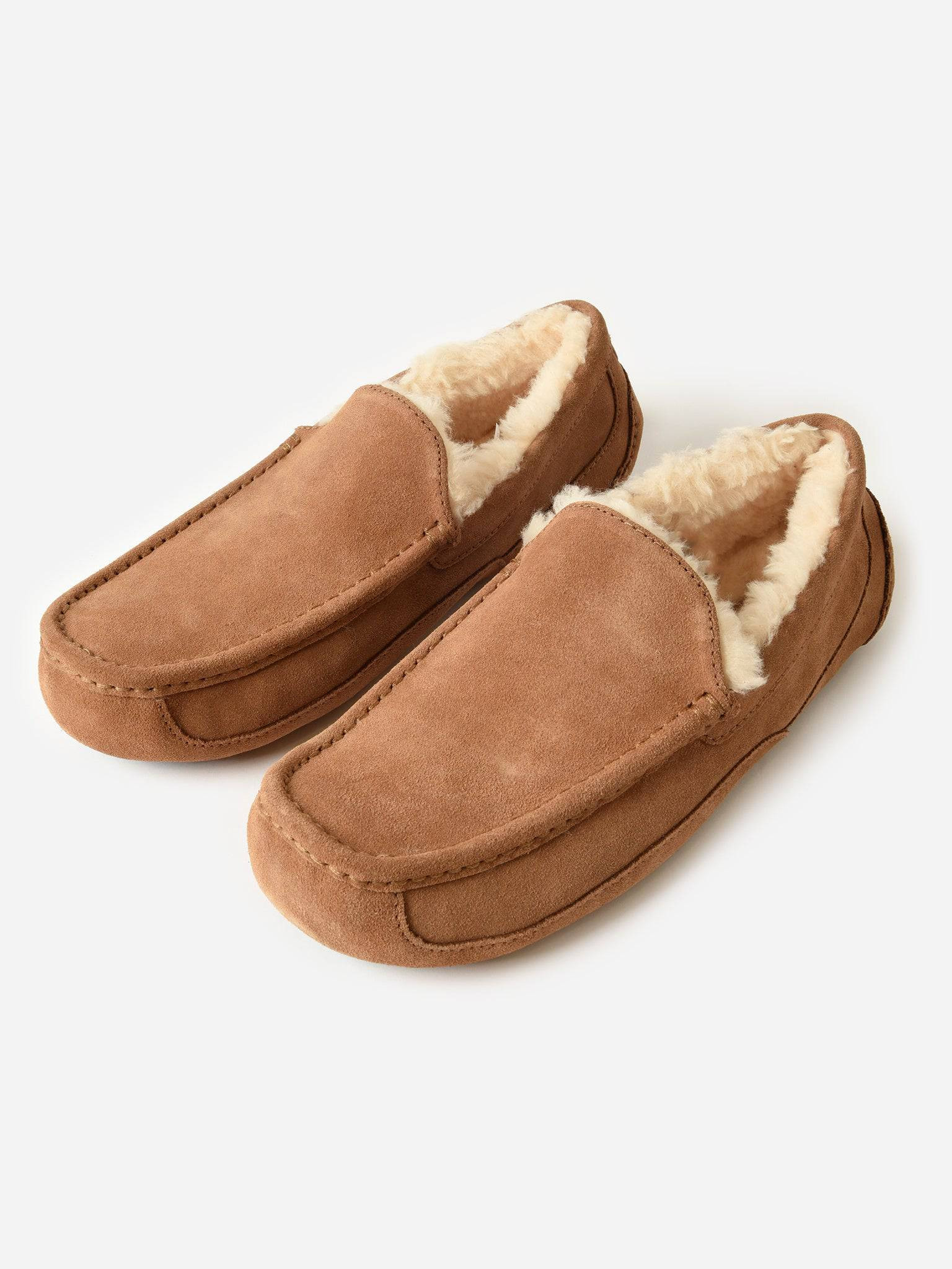 UGG
                      
                     Men's Ascot Slipper | Saint Bernard