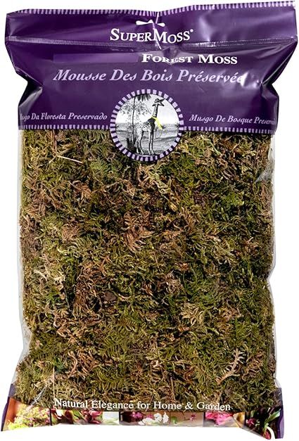 SuperMoss (21577) Forest Moss Dried, Natural, 8oz | Amazon (US)