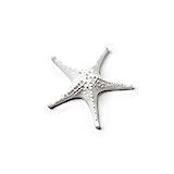 Abbott Collection 3D Starfish, White (Mini) | Amazon (US)