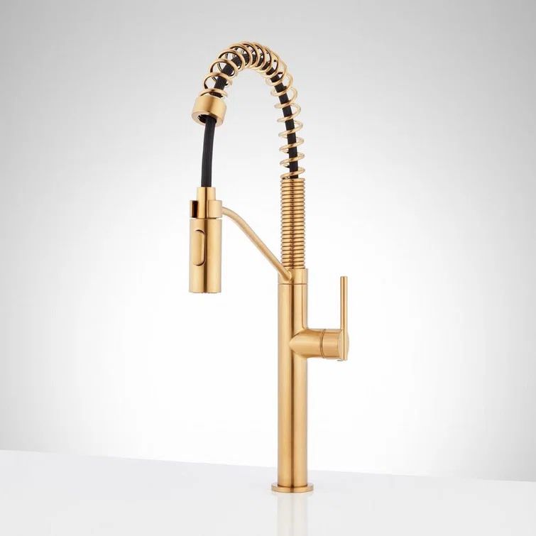 Eiler 1.8 GPM Single Handle Pull Down Kitchen Faucet | Wayfair North America