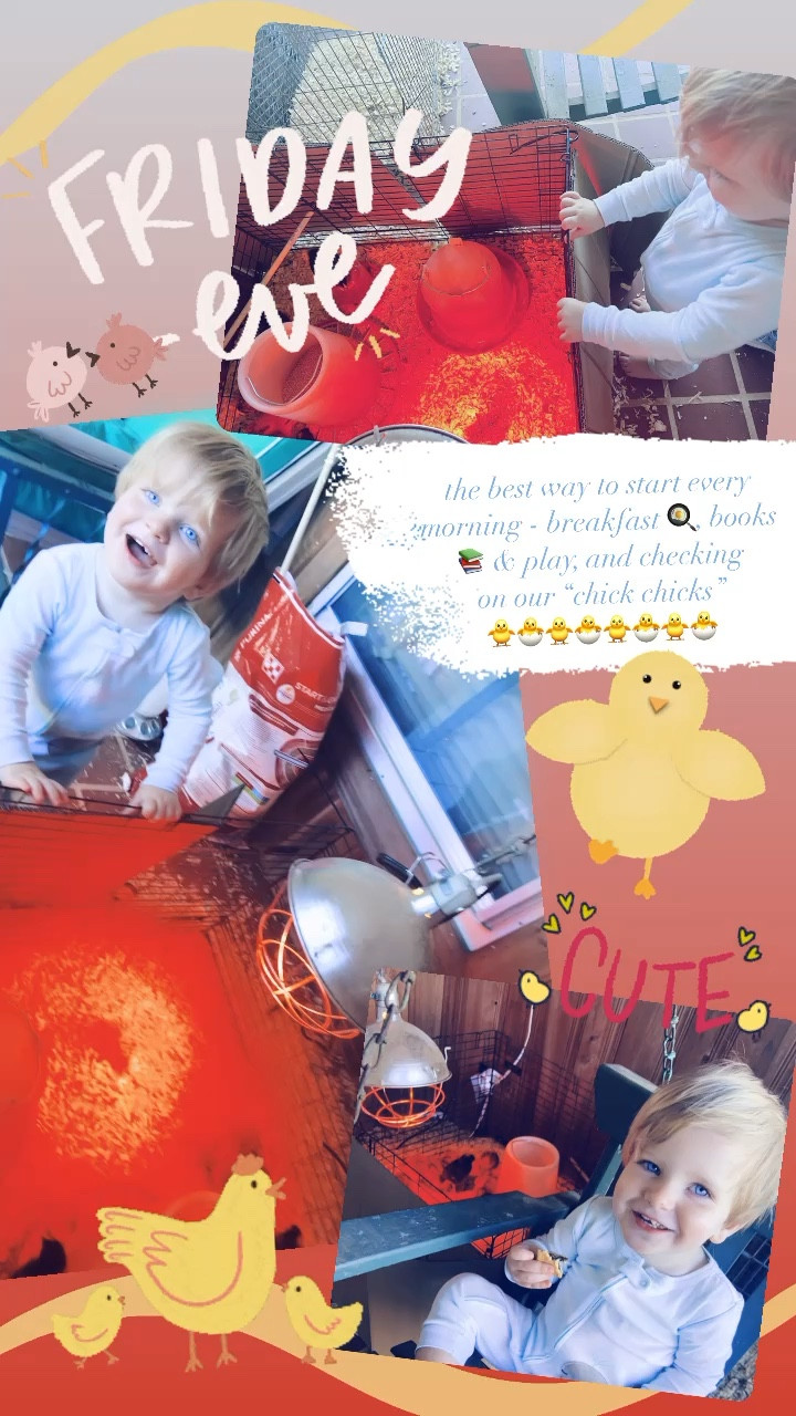 the best way to start every morning - breakfast 🍳, books 📚 & play, and checking on our “chick chicks” 
🐥🐣🐥🐣🐥🐣🐥🐣

#LTKbaby #LTKfamily #LTKSeasonal