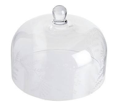 Monique Lhuillier Gabrielle Etched Glass Cake Dome | Pottery Barn (US)