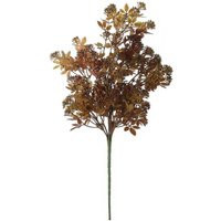 KDMD Essential Autumn Bush 2 Pack Light Brown | Debenhams UK