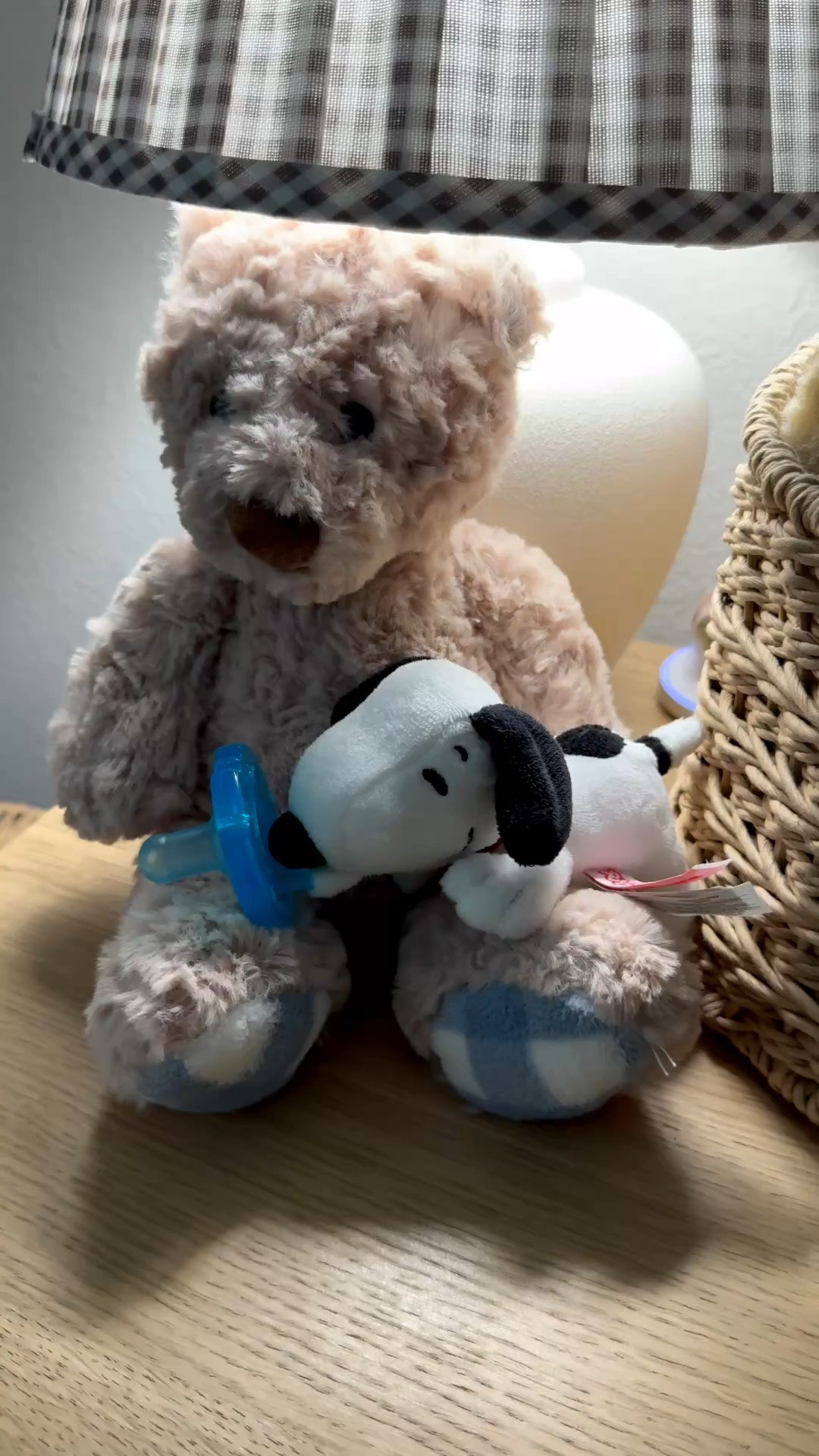 The cutest wubbanub for your sweet baby!

#LTKmomlife #LTKBaby #LTKBump