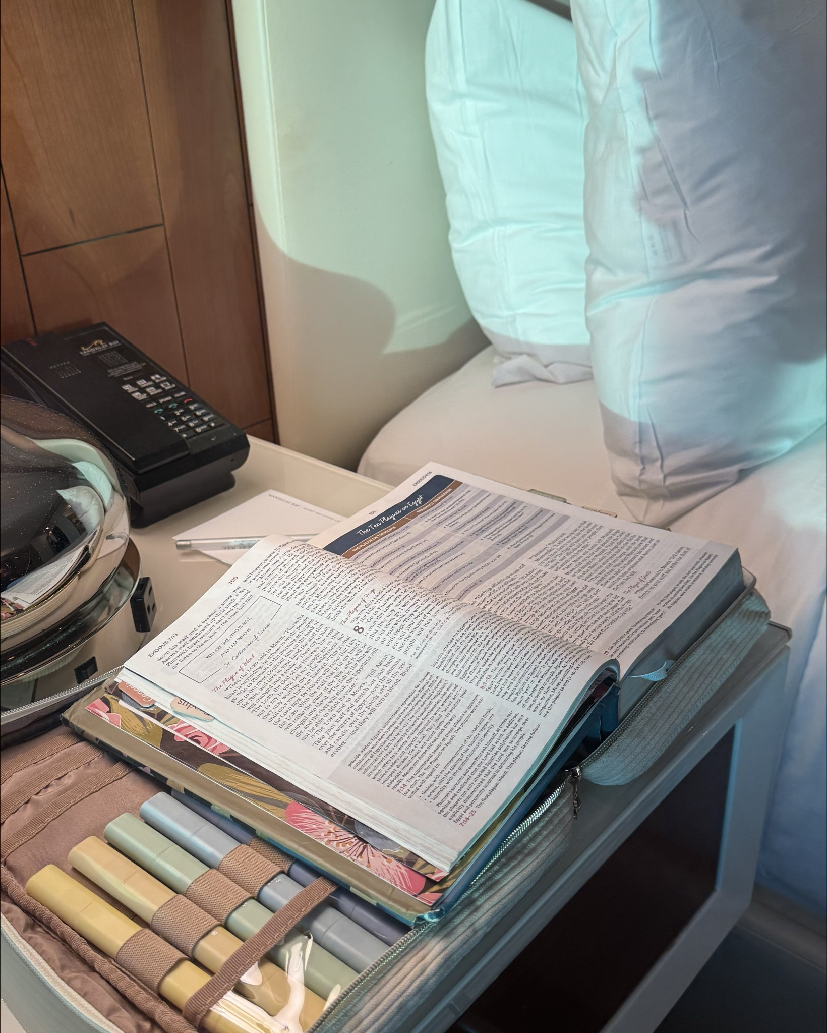 My Bible goes with me wherever I go, whether it’s a work trip or vacation or family event. This new Bible carrying case makes it so much easier to carry my Bible, my highlighters and my journal.

#LTKmorningroutine #LTKTravel #LTKselfcare