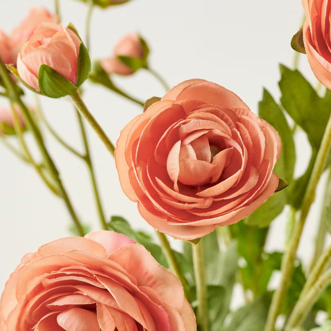 Ranunculus Bloom Bundle | Magnolia