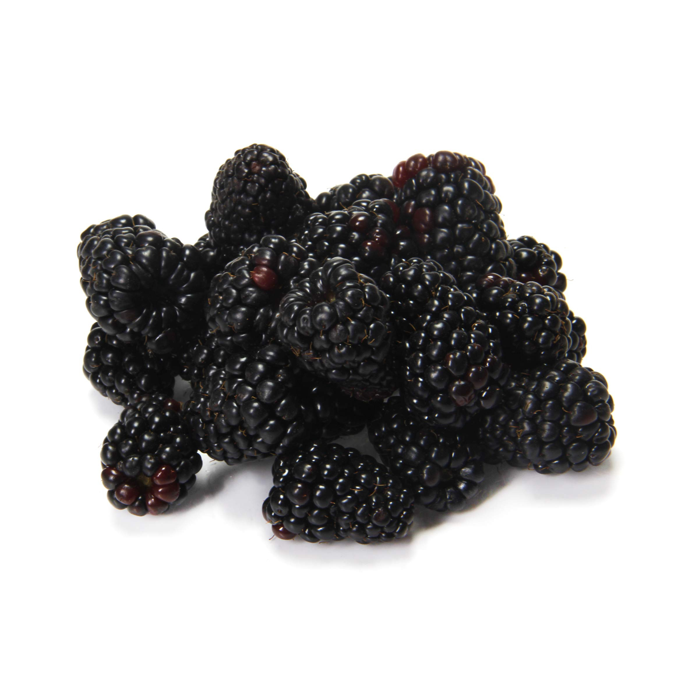 Organic Blackberries, 6 oz | Amazon (US)