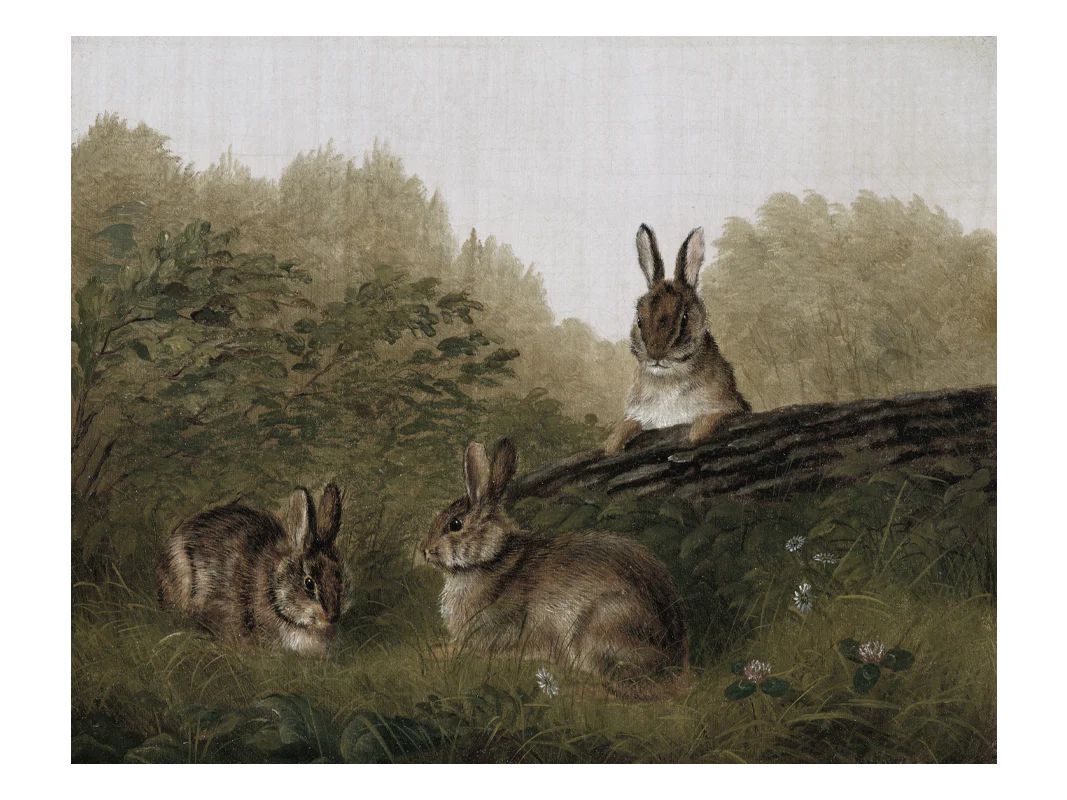 Rabbits | Heirloom Print Shop