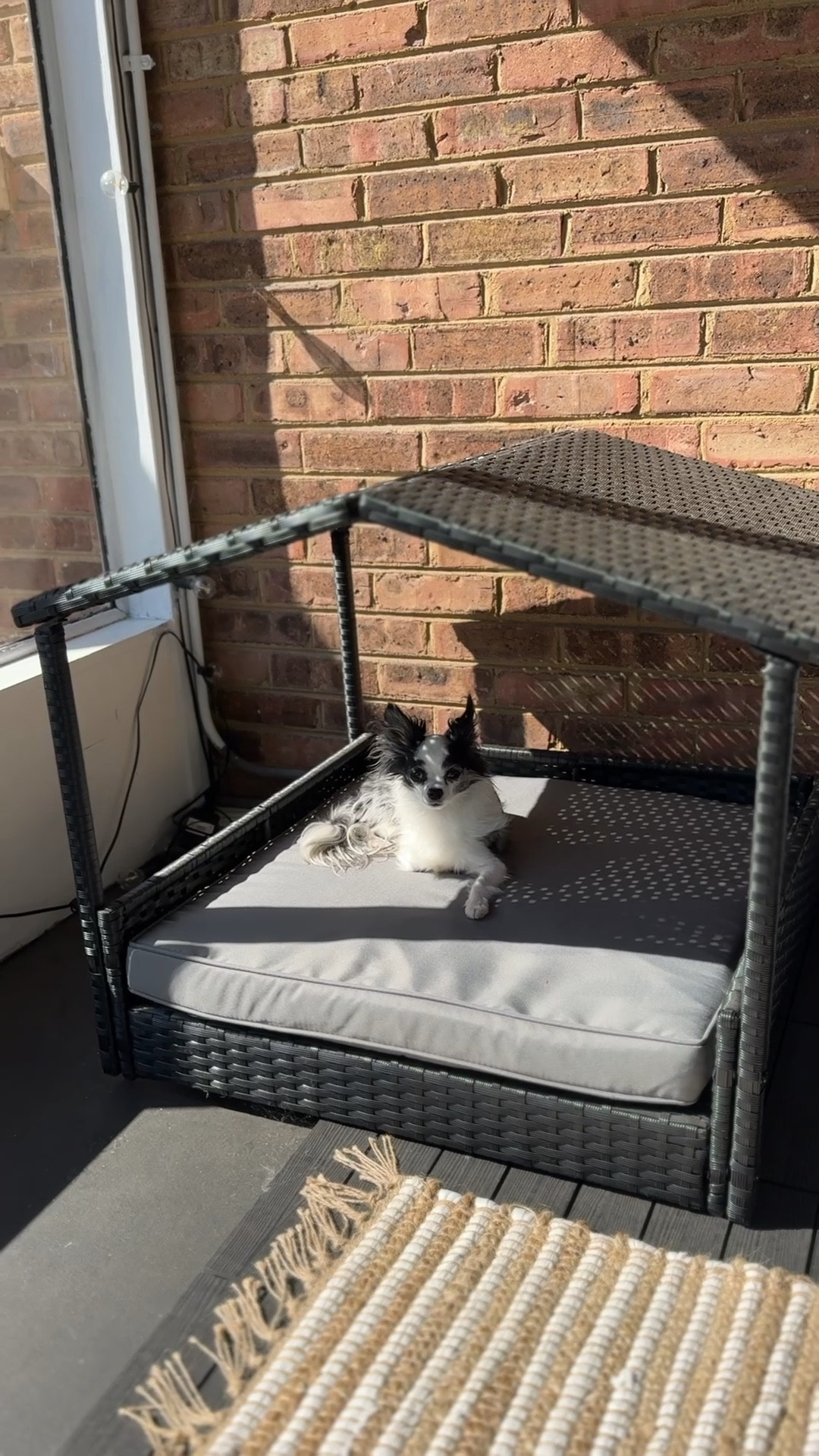 This is your sign to get your dog a sun cabana! The top comes off and makes a great outdoor bed; waterproof and UV protection  

#LTKHome #LTKFamily #LTKFindsUnder50