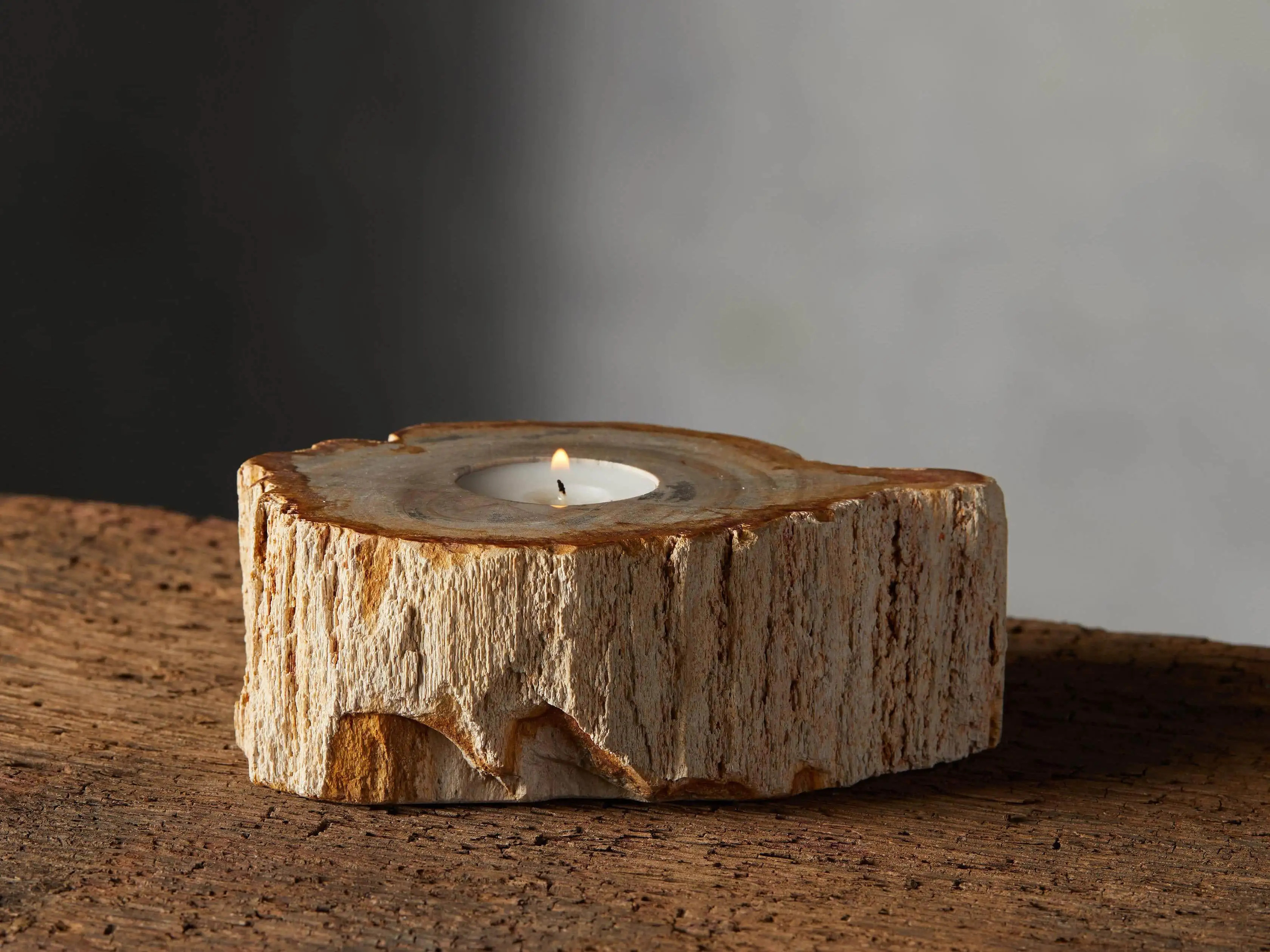 Petrified Wood Tealight Holder | Arhaus