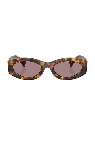 Miu Miu Oval Sunglasses in Havana Honey | FWRD | FWRD 