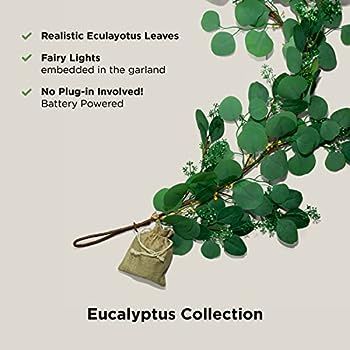 Eucalyptus Garland with Lights - 5 Foot, Battery Operated, 120 Warm White LED Lights, Artificial ... | Amazon (US)