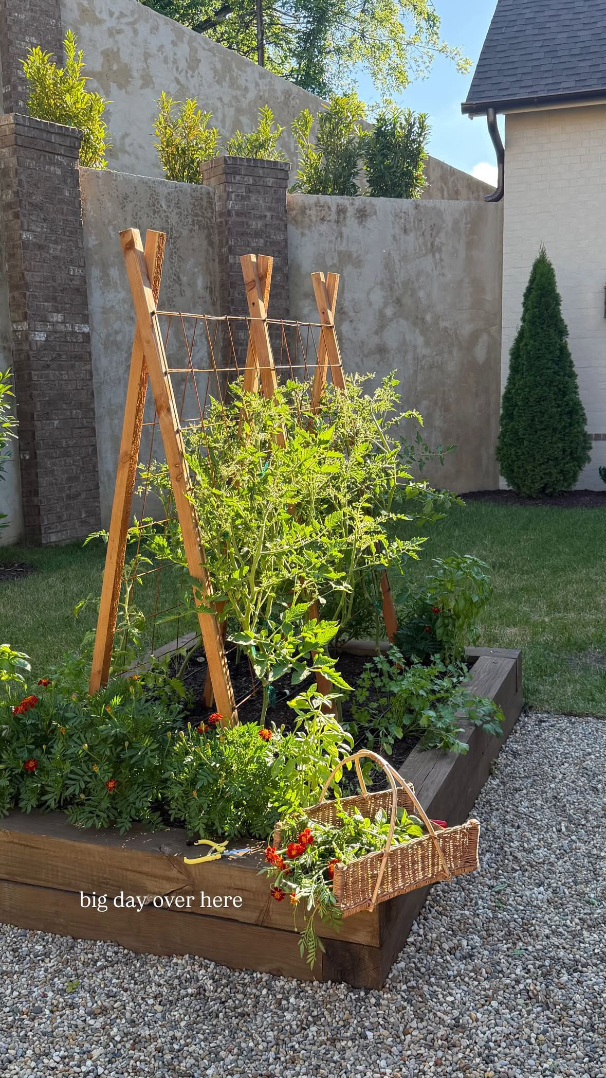 The garden is coming along nicely! 

garden l trellis l outdoors 

 
