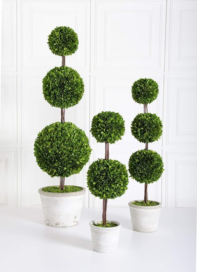 K&K Interiors 17264A 27.5 Inch Preserved Boxwood Double Ball Topiary in Whitewashed Pot, Green | Amazon (US)