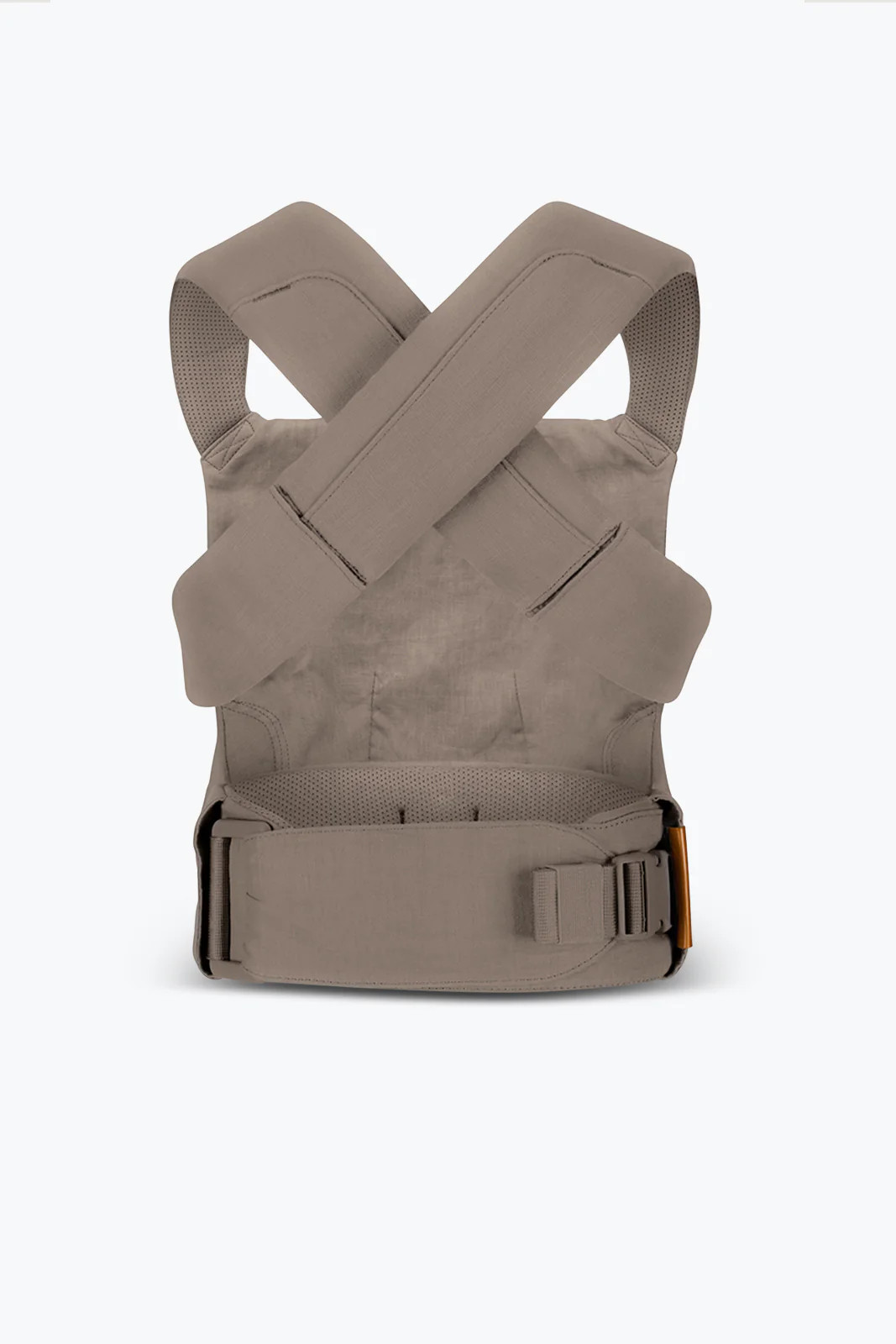 Desert Lark - Aerial Carrier | Wildbird