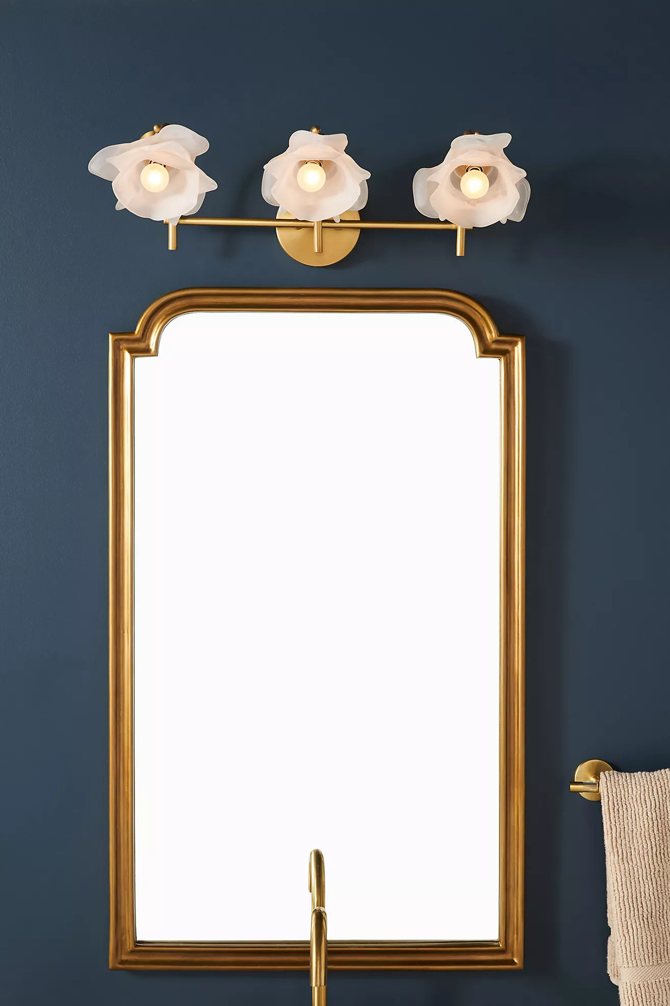 Blossom Vanity Sconce | Anthropologie (US)