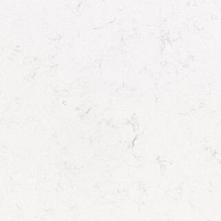 STONEMARK 4 in. x 4 in. Quartz Countertop Sample in New Carrara Marmi P-QSL-NEWCARMI-4X4 | The Home Depot