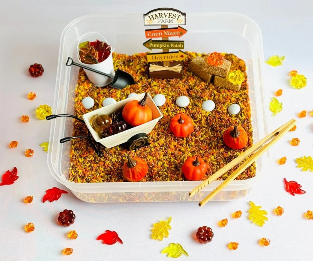 Pumpkin Patch Fall Sensory Bin - Etsy | Etsy (US)