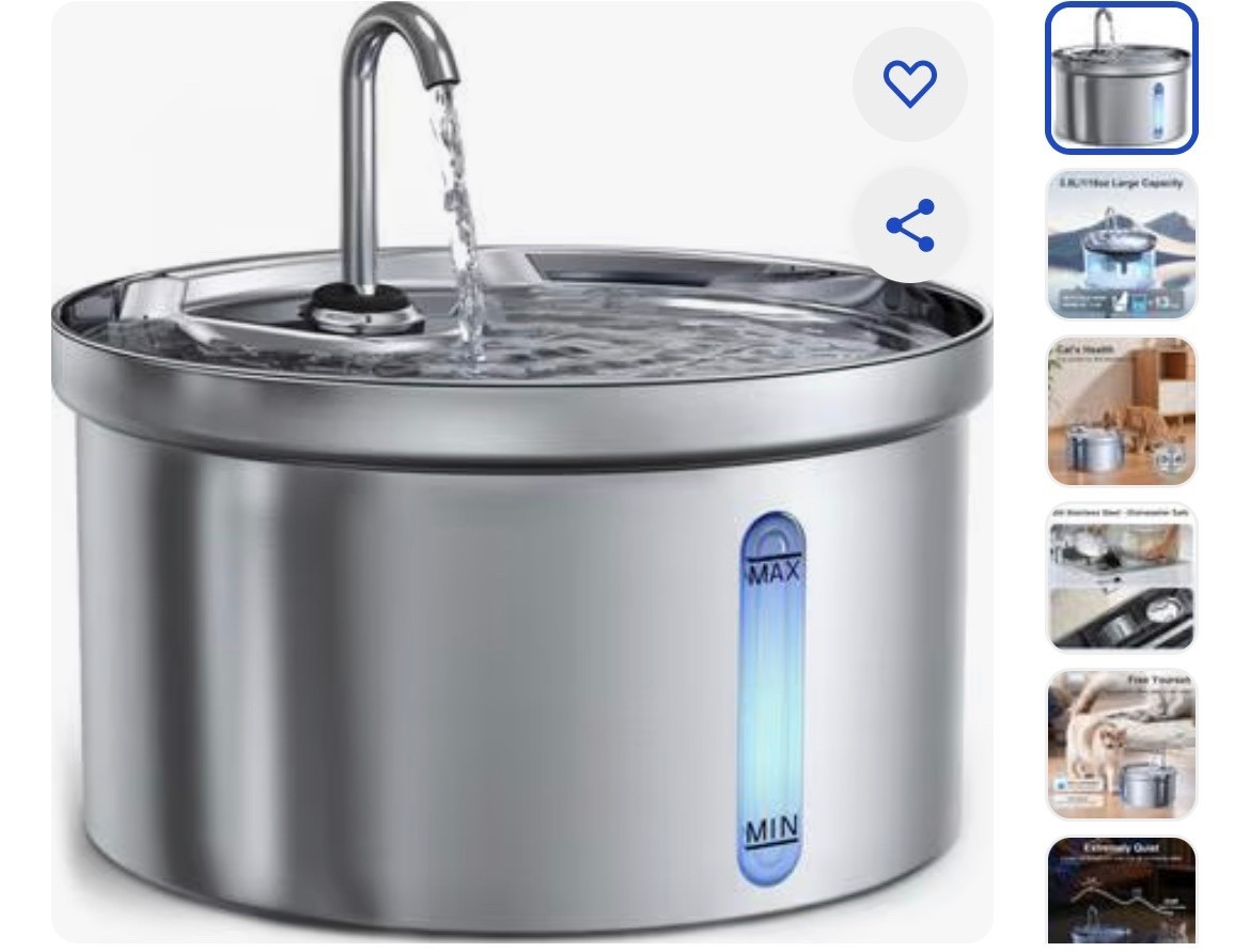 The best water fountain for cats and dogs! It prevents algae and other particles from settling into the bowl, and also filters the water through so that your pets always have clean water to drink. Our cat really drinks water now when we switched to this. You don’t even hear it running! 

#LTKFindsUnder50 #LTKmomlife #LTKfoodie