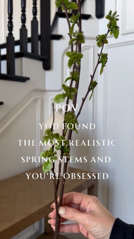 Spring stems. Greenery stems. Greenery branches. Home decor. Console table styling. 

#LTKhome #LTKsalealert
