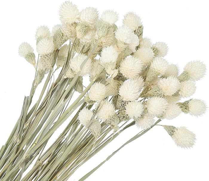 PATIKIL | Amazon (CA)