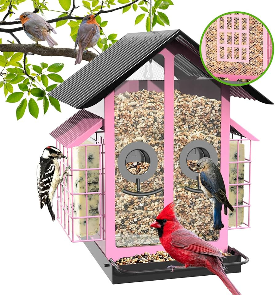 Bird Feeders for Outdoors, Metal Bird Feeder with Double Suet Cage Weatherproof Metal Roof, 2 in ... | Amazon (US)