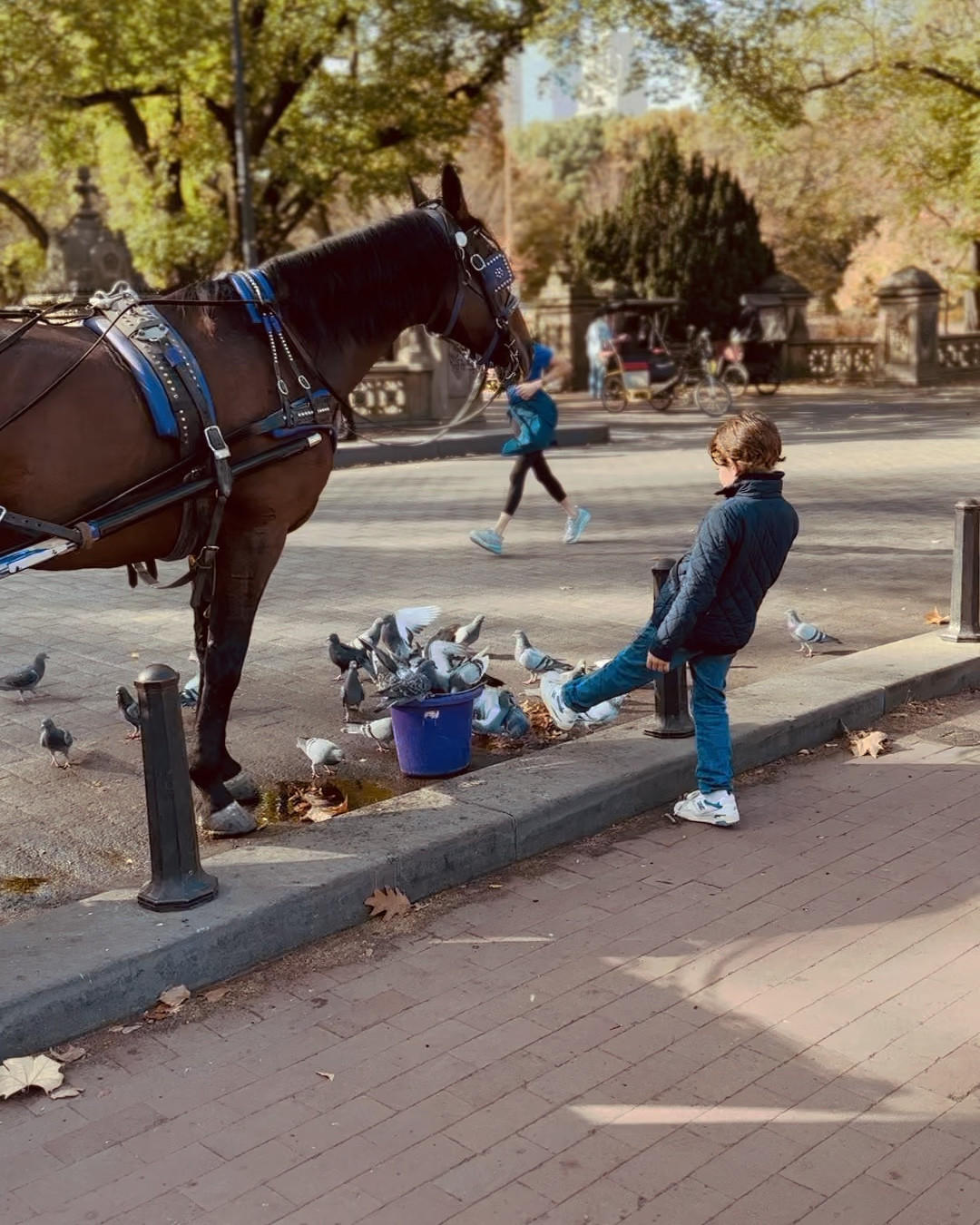 We took a ride through Central Park today and Boyce was not liking the pigeons eating the horse food 😂 No pigeons were injured here - but pretty funny to watch him defend “Strawberry,” our horse. 

#LTKSaleAlert #LTKKids #LTKFindsUnder100