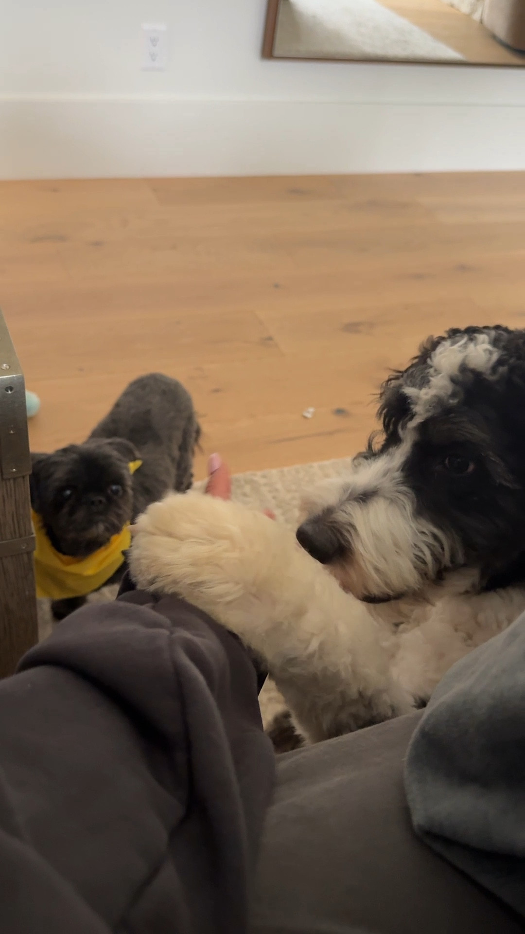 Most of our bedroom furniture is from RH so it can’t be linked but I’m sharing similar items and some of my favorite bedding sets.

#LTKStyleTip #LTKHome