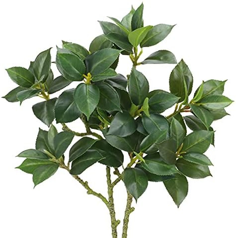 Brand: HO2NLE | Amazon (US)