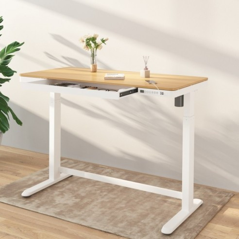 Comhar All-in-One Standing Desk Wooden Top - 48" W | FlexiSpot