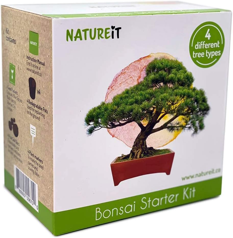 4 Bonsai Tree Kit with Non-GMO Bonsai Seeds (USA Grown), Soil, Natural-Based Planting Pots & in-D... | Amazon (US)