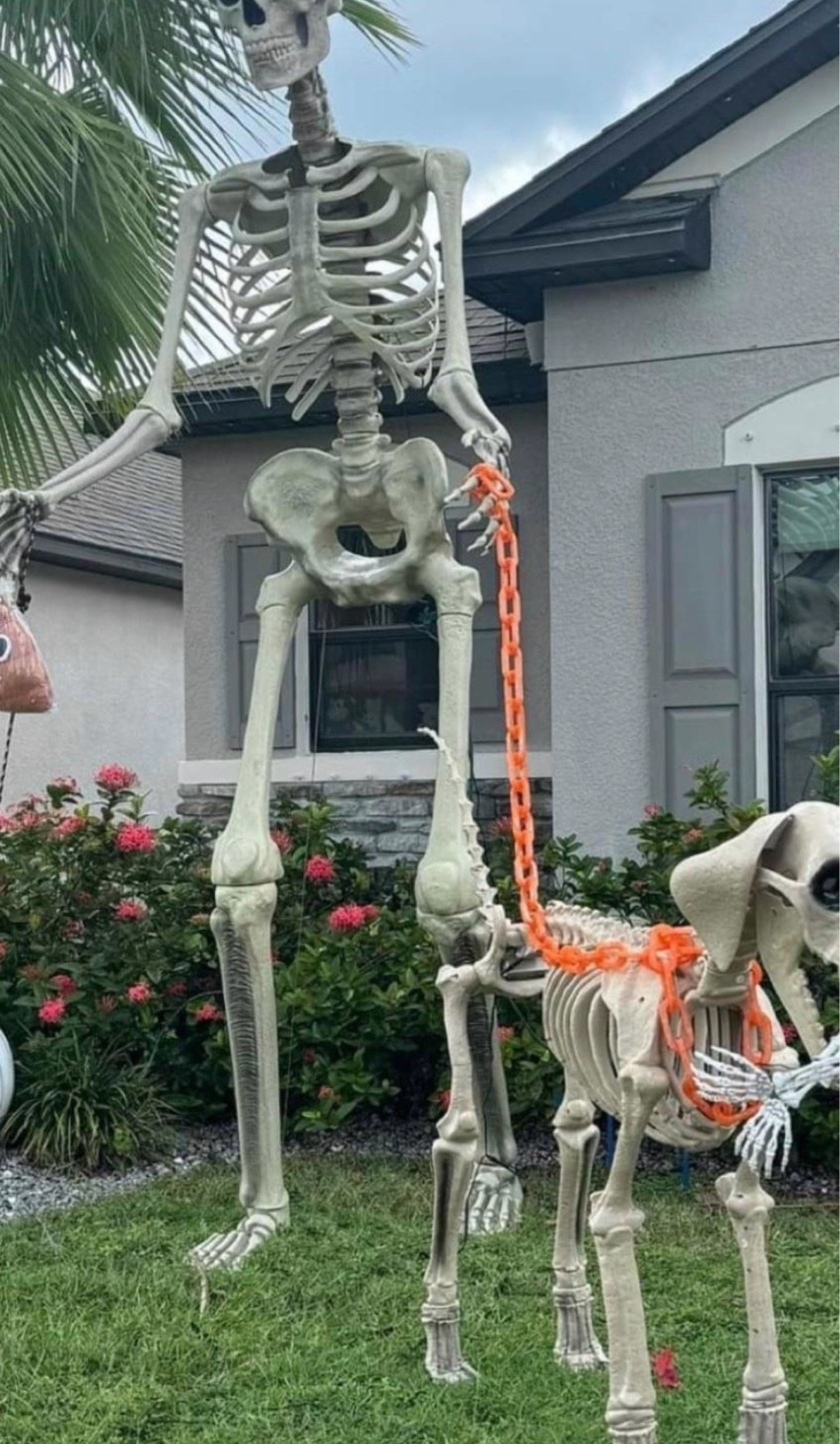 Back in stock!! 
Giant skelly
Halloween decor

#LTKhome