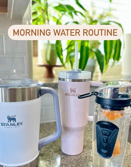 Easier Morning Water Routine to get 100 ounces daily | #amazondeals #amazonfinds #gethealthy

#LTKfit #LTKFind #LTKunder50