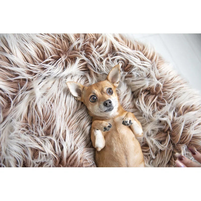 Glam Pet Faux Fur Donut Doughnut | Wayfair North America