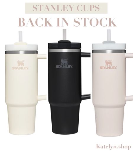 Stanley cups are back in stock! #backinstock #stanley #tumbler #waterbottle #giftidea

#LTKSeasonal #LTKHoliday #LTKU