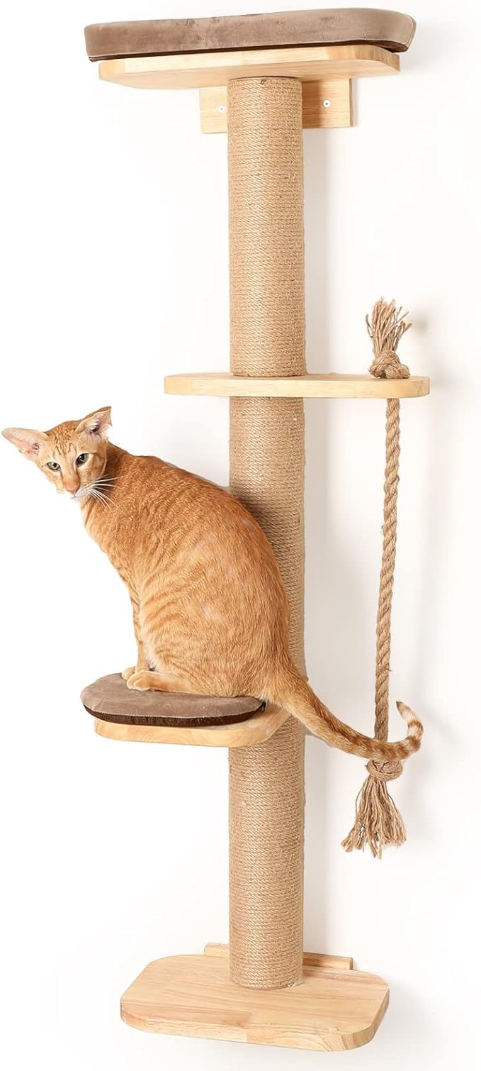 FUKUMARU Cat Scratching Activity Tree Wall Mounted, 51" Cat Scratch Post for Large Cats, with Cat... | Amazon (US)