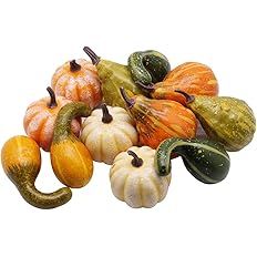 yofit 12 Pcs Thanksgiving Decorations Artificial Pumpkins, Fake Mini Pumpkins, Lifelike Simulatio... | Amazon (US)