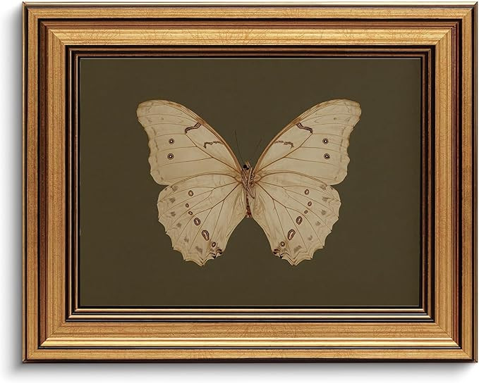 Gold Framed Wall Art Vintage Butterfly Canvas Wall Art White Butterfly Moody Insect Artwork Print... | Amazon (US)
