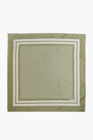 Olive Dot Silk Scarf | Echo | Tuckernuck (US)