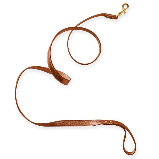 Leather Dog Leash | Mark and Graham | Mark and Graham
