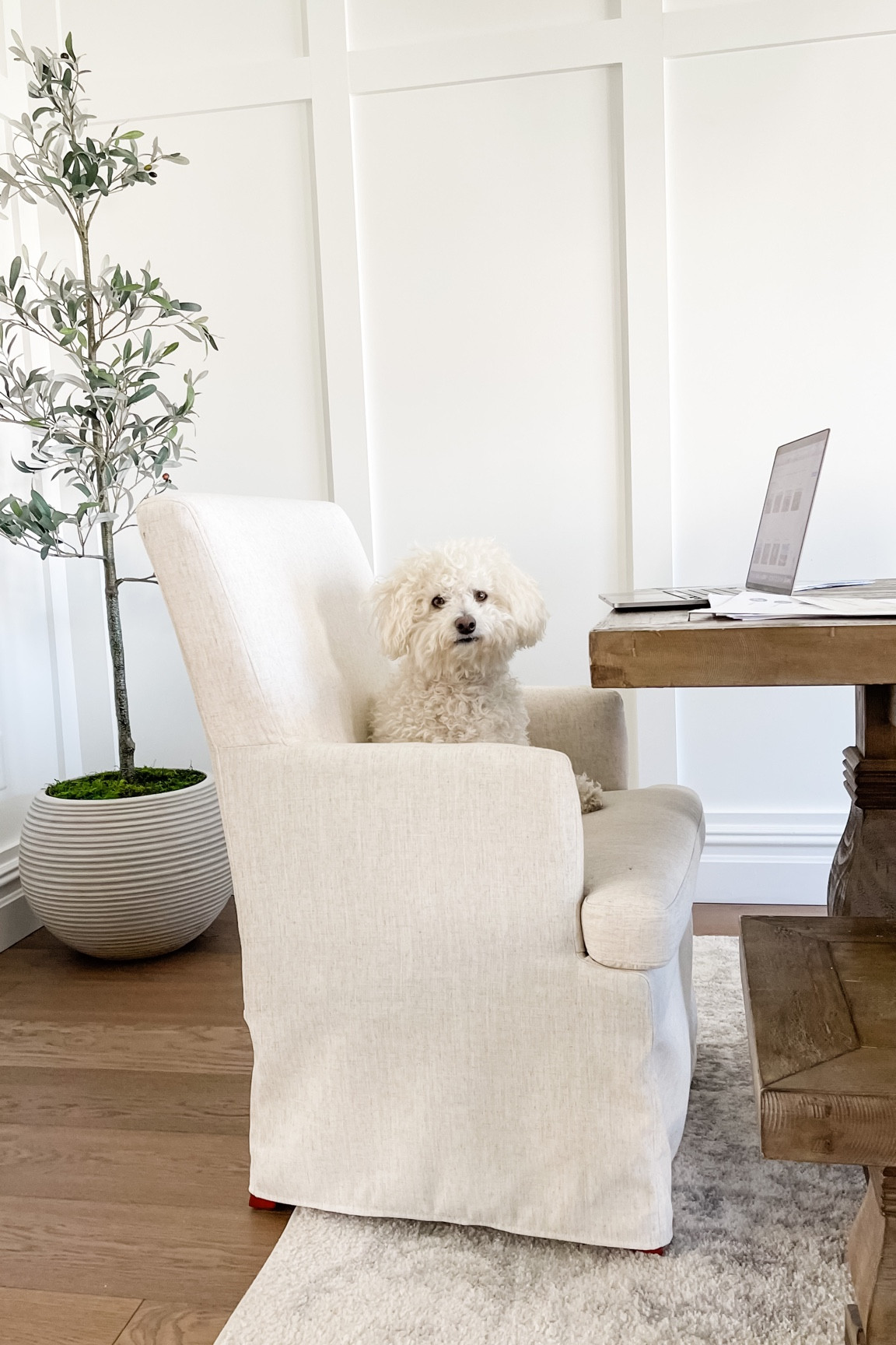 Working hard at home in the comfort of our new upholstered dining chair from Target with Studio McGee! Obsessed. Super comfy dining chair. Goes with everything! 

#LTKsalealert #LTKhome #LTKstyletip