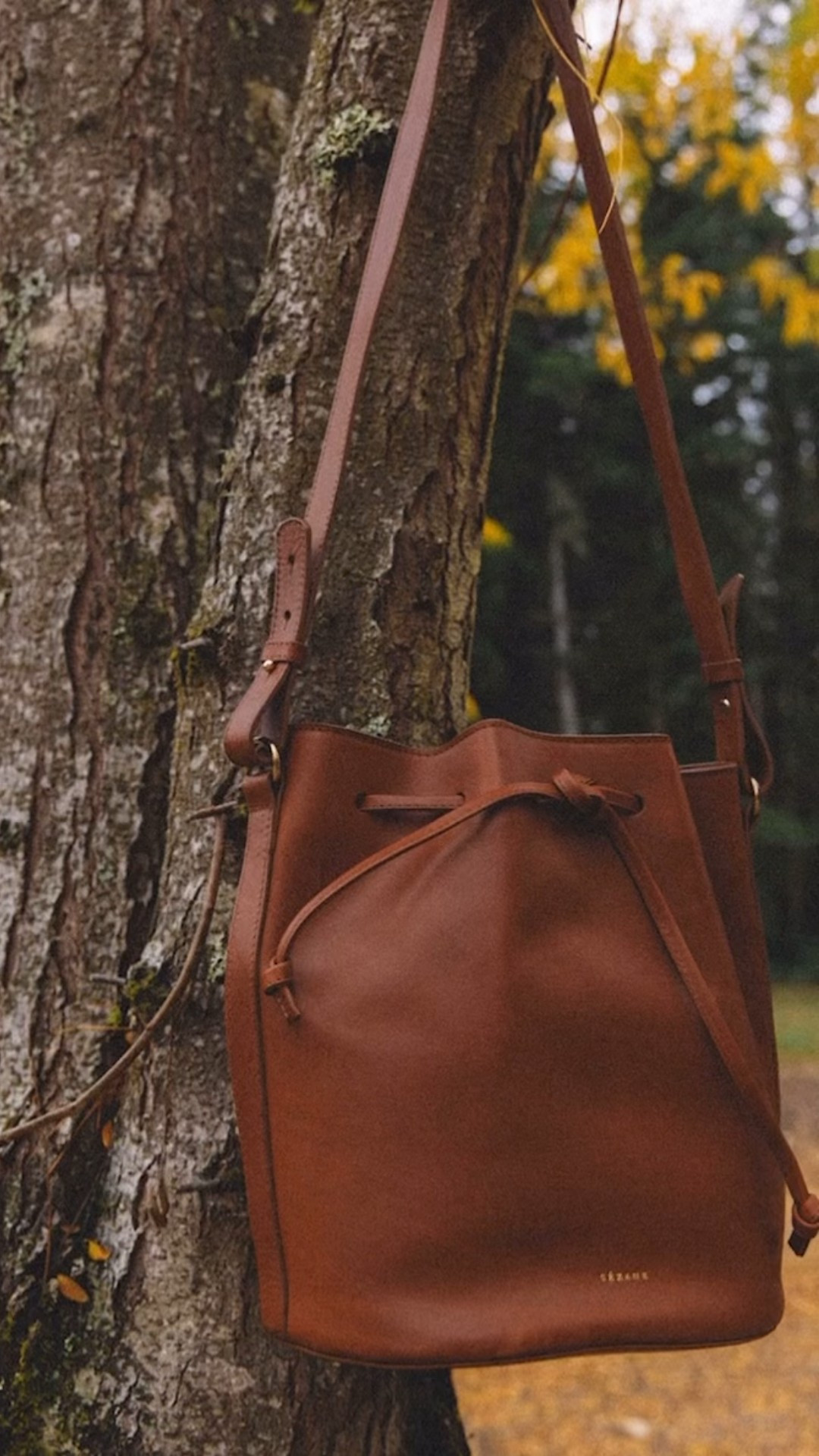 A classic brown leather bucket bag that pairs with everything. Clean lines, structured shape, and the perfect everyday size—easy to carry and beautifully made. Linking this Sézane bucket bag, plus similar leather crossbody bags, fall handbags, and wardrobe staples on LTK.

leather bucket bag, brown leather bag, Sézane bag, crossbody handbag, fall accessories, everyday bag, classic leather, capsule wardrobe, chic essentials, elevated basics.

#LTKSeasonal #LTKItBag #LTKGiftGuide